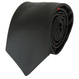 Alvaro Castagnino Men Black & Red Woven Design Skinny Tie-picture-12