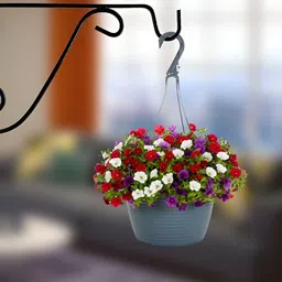 GARDEN DECO Black S Design Wall Bracket-49