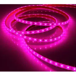 ENORMITY Pink Rice Shape String Lights image 2