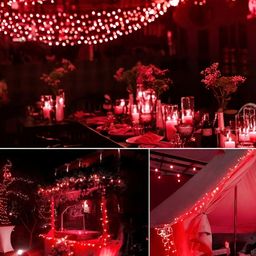 ENORMITY Red Rice Shape String Lights image 3