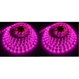 ENORMITY Pink & White Star Shape Bulb String Lights image 1