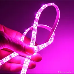 ENORMITY Pink & White Star Shape Bulb String Lights image 2