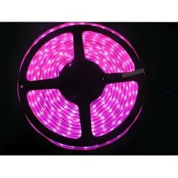 ENORMITY 2- Pcs Yellow & White Photo Clip Shape String Lights image 2