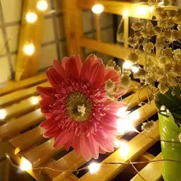 ENORMITY Yellow 2 Pieces Rice Shape String Lights image 3