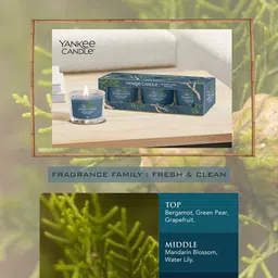 YANKEE CANDLE Set Of 3 Blue Bayside Cedar Filled Votive Scented Candles-29