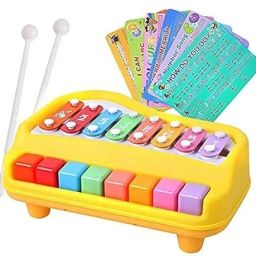 2 in 1 Musical Melody & Educational Piano Xylophone Musical Instruments-21