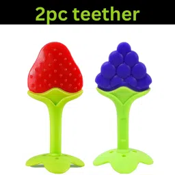 Silicone BPA Free Natural Teether with Storage Box for Newborn Infant(2 pieces ) Teether-24