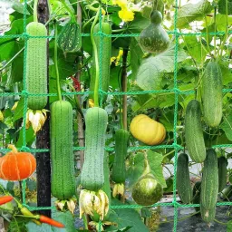 Plant Climbing Net & 15.5Ft x 6Ft Creeper Support Gardening Netting Green Colour Garden Tool Kit-30
