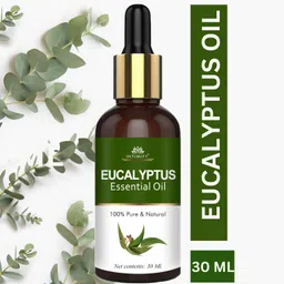 intimify Eucalyptus Essential Oil, 100% Pure, For Cough, Colds, Hair Care & Diffuser-picture-24