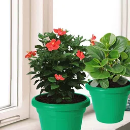 Kuber Industries 3-Pcs Green Durable Flower Planters-22