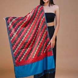 SWI Stylish Women Ethnic Motifs Embroidered Shawl-image-37