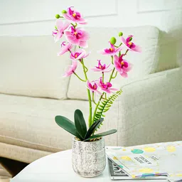 Ekhasa Pink & Green Orchid Artificial Flower With Cement Vase Pot-16