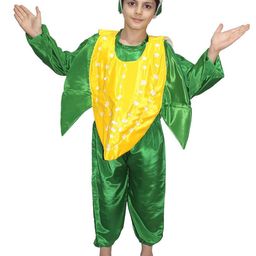 Kaku Fancy dresses Kids Corn Vegetables Costume Set-image-70