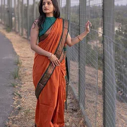 bigben textile Woven Design Zari Banarasi Saree-picture-51