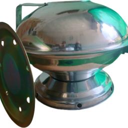 Tandoori Roti, Chicken, Naan Food Steamer-picture-40