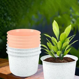 Kuber Industries 8Pcs Peach-Colored & White Textured Planters With Plate-63