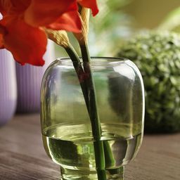 Pure Home and Living Blue & Green Glass Flower Vase-image-98