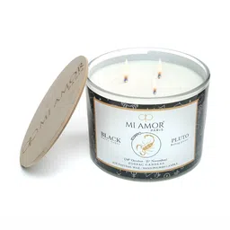 MI AMOR PARIS Zodiac Scorpio White Scented 3 Wick Jar Candle-45