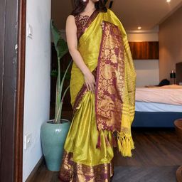VILLAGIUS Woven Design Zari Saree-image-122