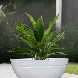 Go Hooked White & Green Lotus BowlLightweight Planter-40