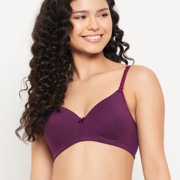 Clovia Lightly Padded Full Coverage All Day Comfort Seamless Cotton T-shirt Bra-picture-34