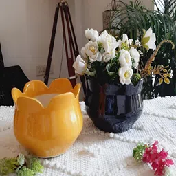 NIYARA 2-Pcs Yellow & Black Glossy Ceramic Planters-30