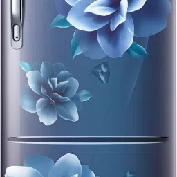 183 L Direct Cool Single Door 3 Star Refrigerator-image-10
