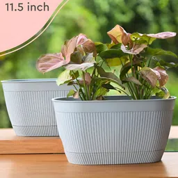eha 2-Pcs Blue UV Protected Planters-12