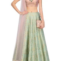 Payal Singhal Floral Woven Design Sleeveless Ready To Wear Lehenga & Blouse With Dupatta-42