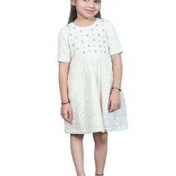 EthIndia Embellished Net A-Line Dress-picture-17