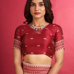 sarha SARHADesigner Chanderi Saree image 3