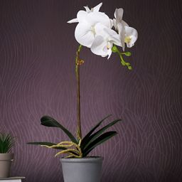 Myntra Elegant Homes Grey 1 Pieces Orchid Artificial Plant With Pot-54