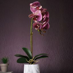 TAYHAA White 1 Pieces Orchid Artificial Plant With Pot-57