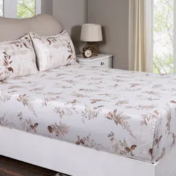 MASPAR Brown Printed Pure Cotton 300 TC King Bedsheet With 2 Pillow Case 2.75 m x 2.75 m-image-9