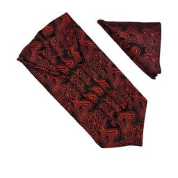 Ascot Tie & Pocket Square Combo-image-38