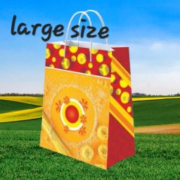Printed Party Bag-image-80