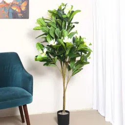 arick decor Artificial Champa & Frangipani Flowers Plants with Pot-picture-28