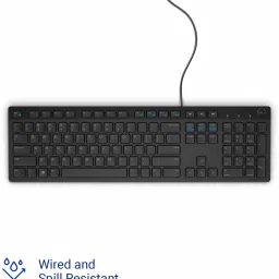 DELL KB216 Multimedia Keyboard with USB Interface, Plunger Keys Technology & Chiclet Wired USB Standard Desktop Keyboard Compatible with Desktop, Laptop, Mac Key Style, Hot Key-Volume, Mute, Play/Pause, Backward, Forward, Warranty 1 Year image 2