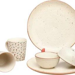 Pack of 6 Ceramic, Stoneware, Earthenware Dinner Set-25