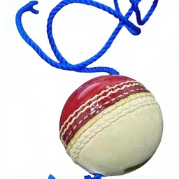 HackerX Leather Hanging Cricket Ball With Rope image 1