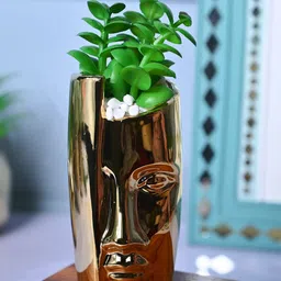 MARKET99 Green Aloe Vera Artificial Plant With Pot-image-36