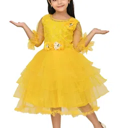 Zenat Flared Sleeve Layered Net Fit & Flare Dress-image-83