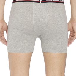 Lux Cozi Pack Of 3 Assorted Trunks LUX_012_3D_BIGSHOT_LONG_PLAIN_ASSORTED_85-Assorted image 4