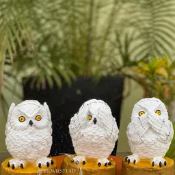 HOMESTEAD DECORE SOLUTION Unisex Multi Polyresin Showpieces-image-11