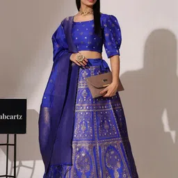 Mr Y Women Silk Lehenga Choli-picture-58