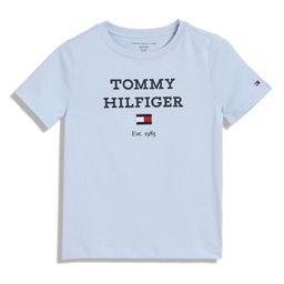 Tommy Hilfiger Boys Typography Printed Round Neck Cotton T-shirt-image-68
