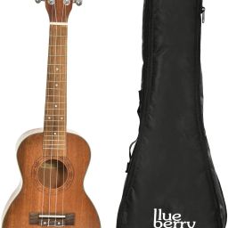 UK-20 Brown Concert Ukulele | AQUILA Strings (Strings Made in ITALY),|Sapele Body | Rosewood Bridge & Fingerboard| ABS Binding| Matte Finish, with Bag and Picks | Natural Brown Concert Ukulele-image-46