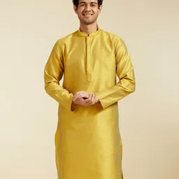 Diwas by Manyavar Ethnic Motifs Woven Design Mandarin Collar Straight Kurta-image-77