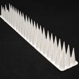 Bird Spike-15