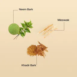 herby angel Fennal Fresh Toothpaste Mswak neem and khadir Toothpaste image 5